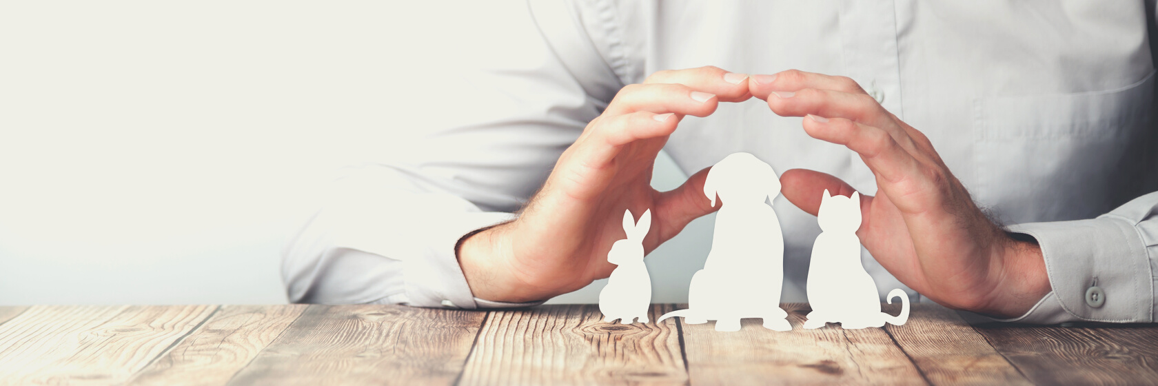 Pet Care And Insurance Concept